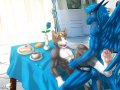 1252560383.gilian_[170]breakfast_xl.jpg